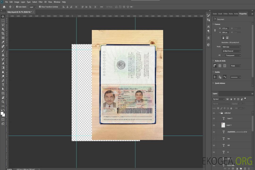 Look de photo de passeport mexicain template Look de photo de passeport mexicain template